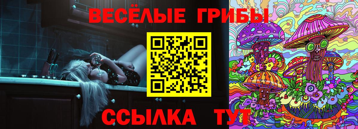 Советский  купить наркотик  Вход с VPN  Псилоцибиновые грибы Cubensis 
